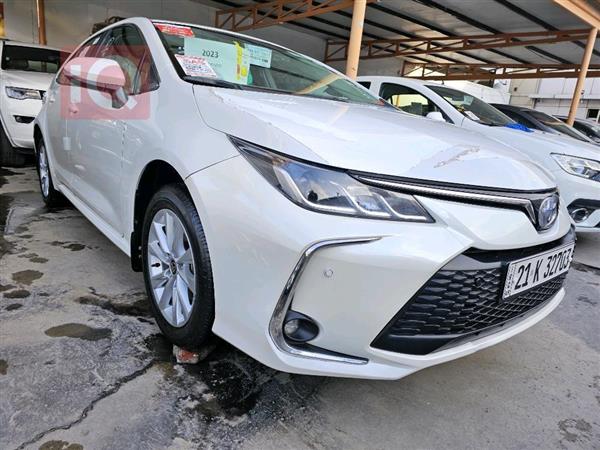 Toyota for sale in Iraq